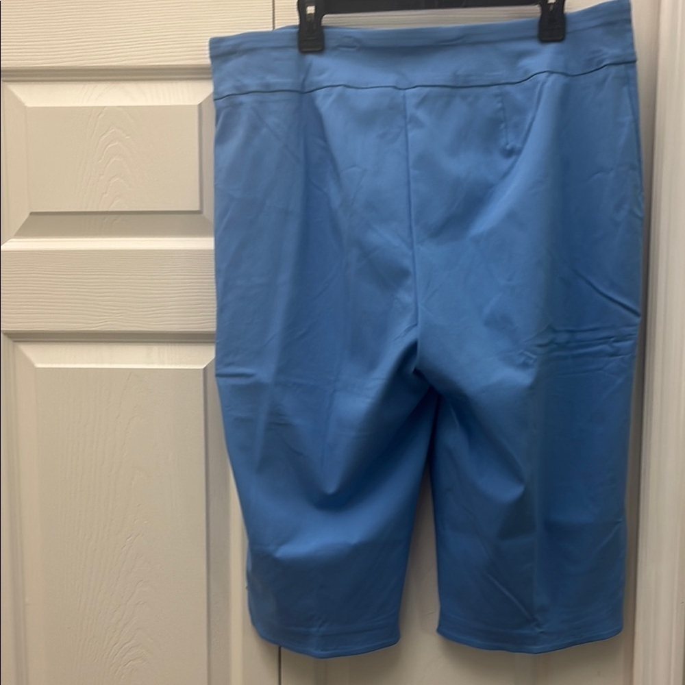 Counterparts Blue Capris
rayon/nylon/spandex blend - Picture 3 of 6